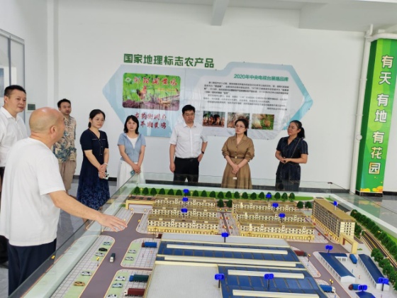湖南政协新闻网